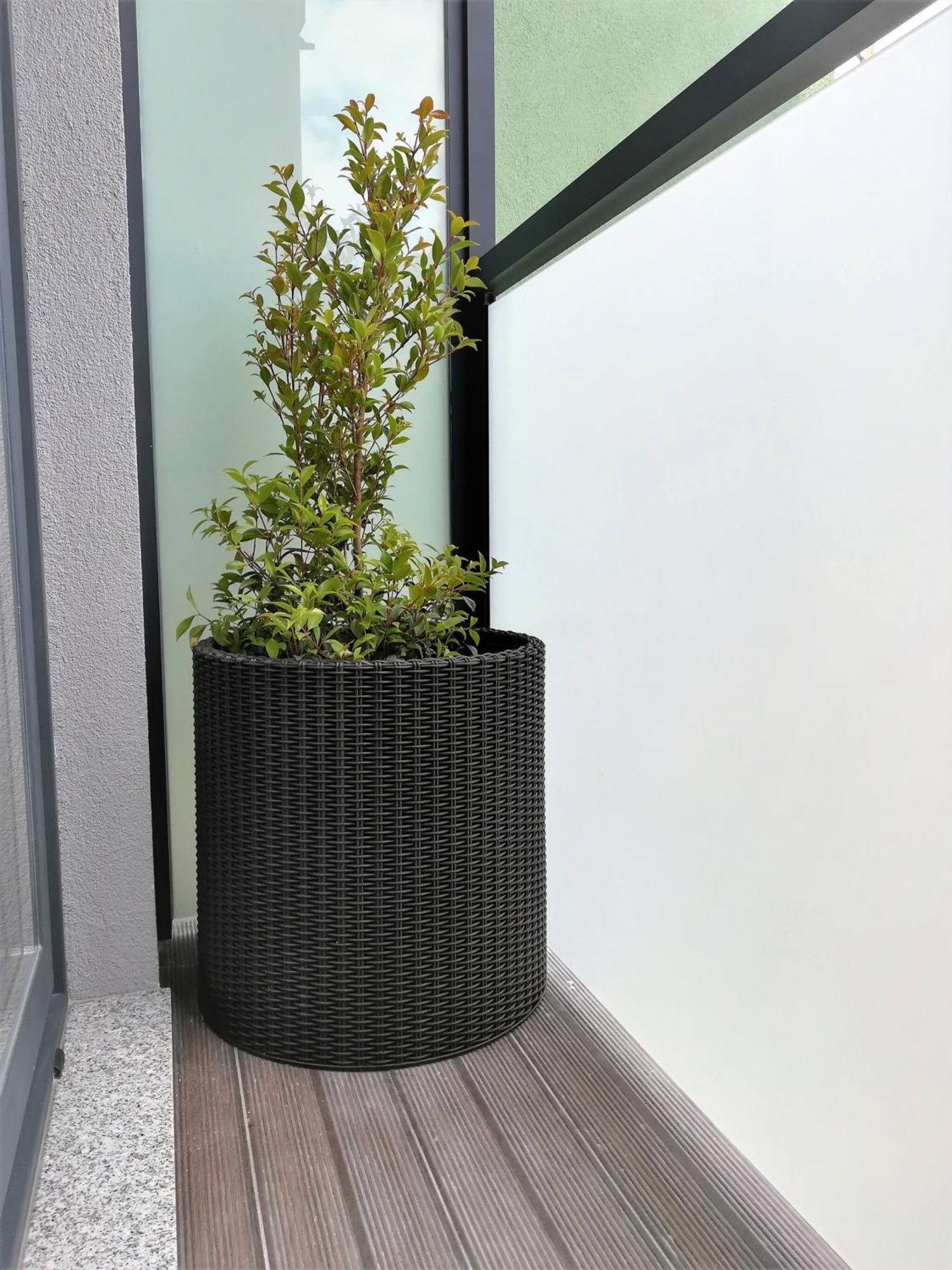 Aposentus - Your Home At Pinheiro'S Studio Porto Buitenkant foto